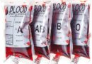 Adequate Blood Stock at YCM Hospital; No Patient Turned Away