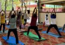 Free Yoga Demonstration Held at Mohan Nagar