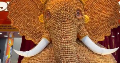 21,000 Pani Puri Puris Come Together to Create 13-Foot Ganpati Idol on FC Road