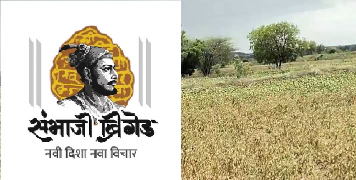 Declare Drought in Marathwada, Demand Rs 1 Lakh Aid Per Acre: Sambhaji Brigade
