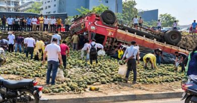 Pineapple-Laden Truck Overturns in Wakad