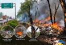 Over 100 Trees Burnt in Waste Fires Along Pune Highway Green Belt