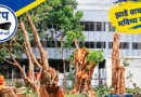 AAP Demands FIR Over Tree Felling Near PCMC Headquarters